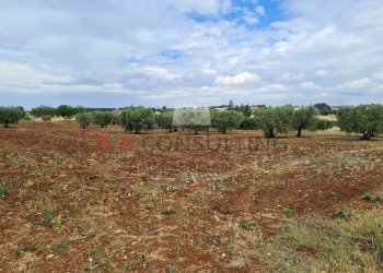 20220609_101937.jpg - Baita Via ospedale, Martina Franca - photo 7