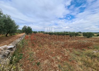 20220609_101947.jpg - Baita Via ospedale, Martina Franca - photo 9