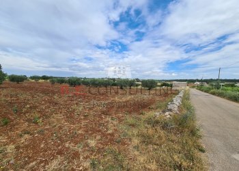 20220609_101950.jpg - Baita Via ospedale, Martina Franca - photo 10