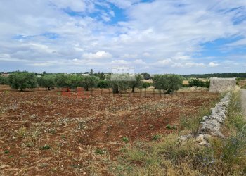 20220609_101955.jpg - Baita Via ospedale, Martina Franca - photo 11
