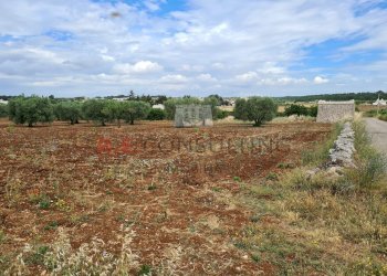 20220609_102007.jpg - Baita Via ospedale, Martina Franca - photo 12