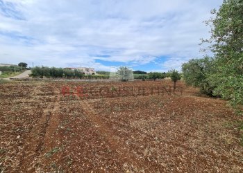 20220609_102148.jpg - Baita Via ospedale, Martina Franca - photo 14