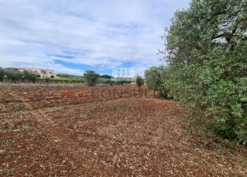 20220609_102149.jpg - Baita Via ospedale, Martina Franca - photo 15