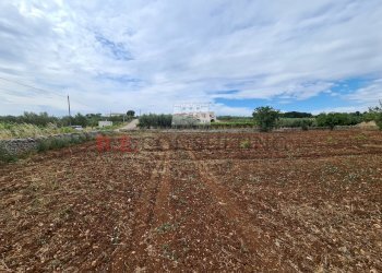 20220609_102152.jpg - Baita Via ospedale, Martina Franca - photo 16
