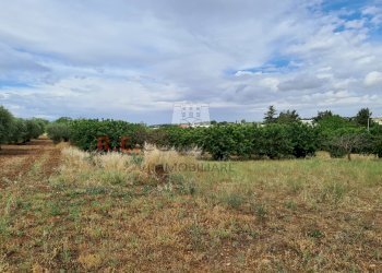 20220609_102226.jpg - Baita Via ospedale, Martina Franca - photo 18