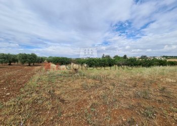 20220609_102230.jpg - Baita Via ospedale, Martina Franca - photo 19