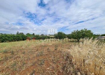 20220609_102235.jpg - Baita Via ospedale, Martina Franca - photo 20