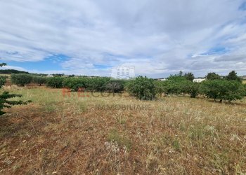 20220609_102338.jpg - Baita Via ospedale, Martina Franca - photo 22