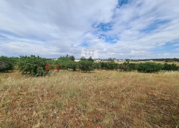 20220609_102341.jpg - Baita Via ospedale, Martina Franca - photo 23