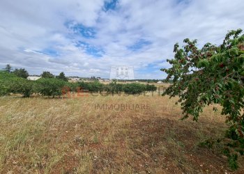 20220609_102344.jpg - Baita Via ospedale, Martina Franca - photo 24