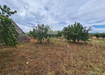 20220609_102356.jpg - Baita Via ospedale, Martina Franca - photo 25