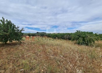 20220609_102400.jpg - Baita Via ospedale, Martina Franca - photo 27