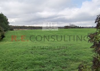 IMG_20201119_094401_resized_20201119_071804840.jpg - Baita Via Alberobello 137, Martina Franca - photo 10