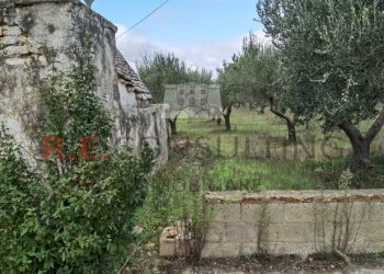 IMG_20201119_094516_resized_20201119_071804249.jpg - Baita Via Alberobello 137, Martina Franca - photo 14