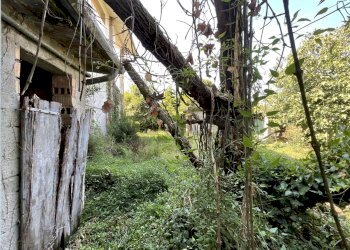 GIARDINO INTERNO - Rustico Via Udine 1, Palmanova - foto 13