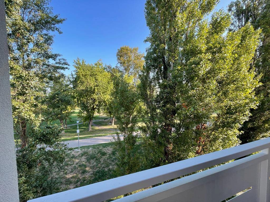 Trilocale Mantova - foto 1