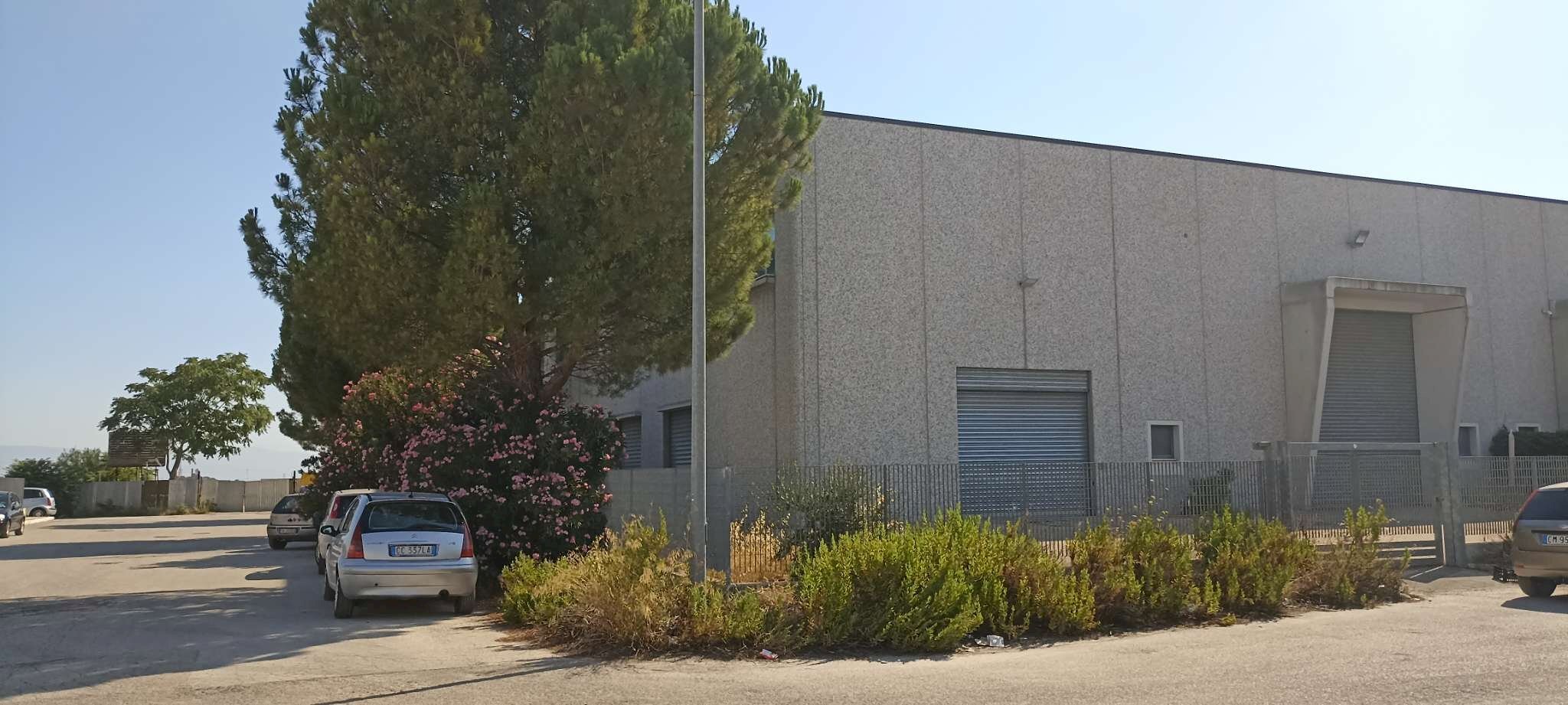 esterno 3 - Capannone via Manfredonia, Foggia - foto 1