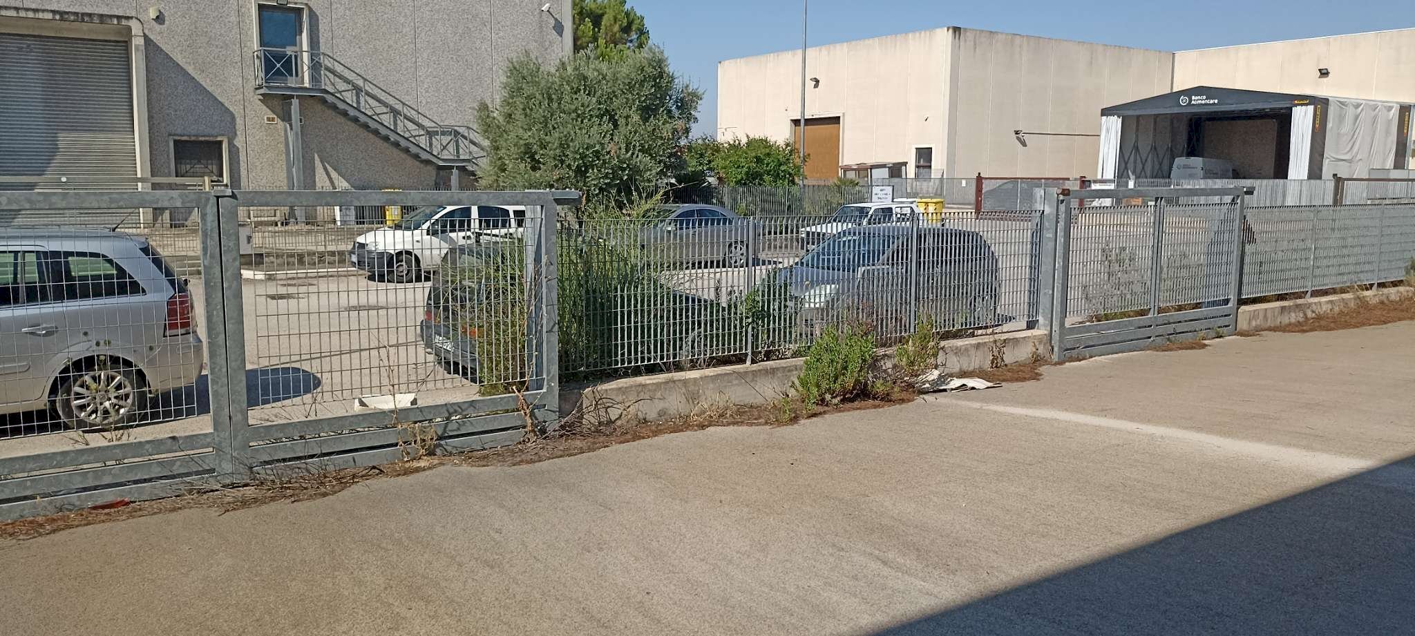 ingressi lato magazzino - Capannone via Manfredonia, Foggia - foto 3