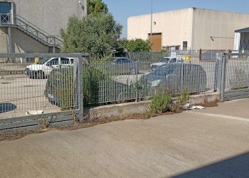 ingressi lato magazzino - Capannone via Manfredonia, Foggia - foto 3