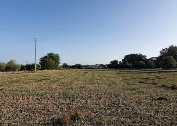 3.jpg - Villa Modica - foto 5