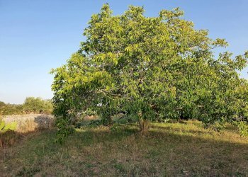 25.jpg - Villa Modica - foto 14