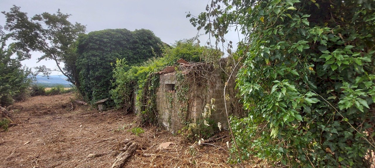 20220623_103813.jpg - Casale Via Marscianese 1, Fratta Todina - photo 2