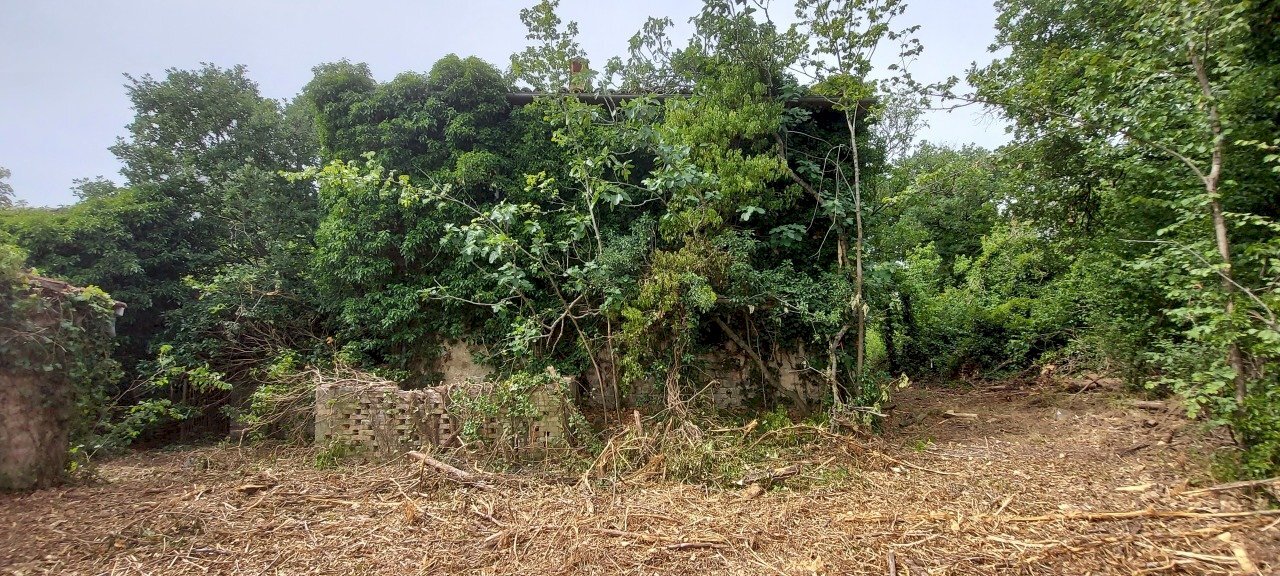 20220623_103803.jpg - Casale Via Marscianese 1, Fratta Todina - photo 3