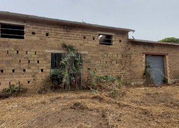 20220623_103515.jpg - Casale Via Marscianese 1, Fratta Todina - foto 1