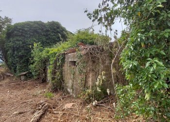 20220623_103813.jpg - Casale Via Marscianese 1, Fratta Todina - foto 2