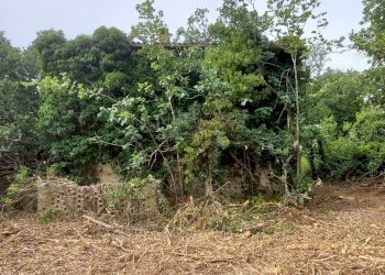 20220623_103803.jpg - Casale Via Marscianese 1, Fratta Todina - foto 3