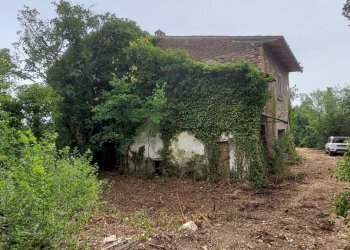 20220623_103648.jpg - Casale Via Marscianese 1, Fratta Todina - foto 4