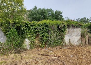 20220623_103504.jpg - Casale Via Marscianese 1, Fratta Todina - foto 6