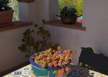 ESTERNO - Single Family Villa Strada Comunale Vecchia Montemerano Manciano, Manciano - photo 9