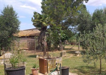 Casale Strada Vicinale della Peschiera, Manciano - photo 6