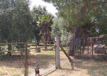 Casale Strada Vicinale della Peschiera, Manciano - photo 7