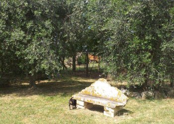 Casale Strada Vicinale della Peschiera, Manciano - photo 10