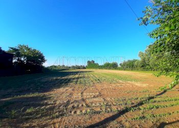 1.jpg - Terreno agricolo Campodoro - foto 1