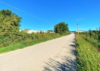 Terreno agricolo Carinola - foto 3