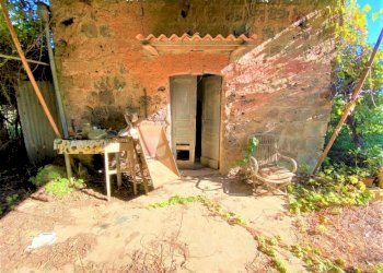 Terreno agricolo Carinola - foto 5