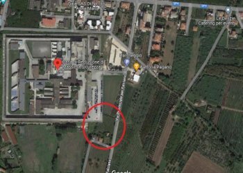 Terreno agricolo Carinola - foto 8