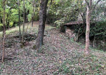 Rustico Borgata Bodino, 4, Bernezzo - foto 13