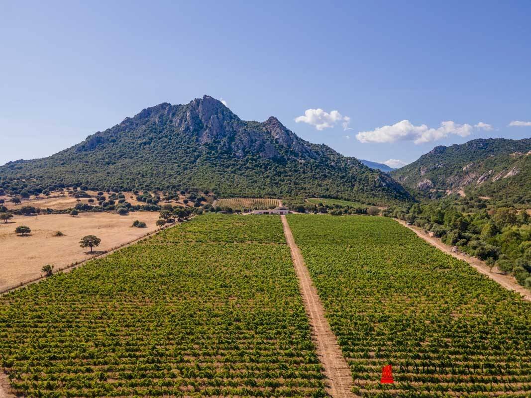 Farm località Azzanido, Loiri Porto San Paolo - photo 2