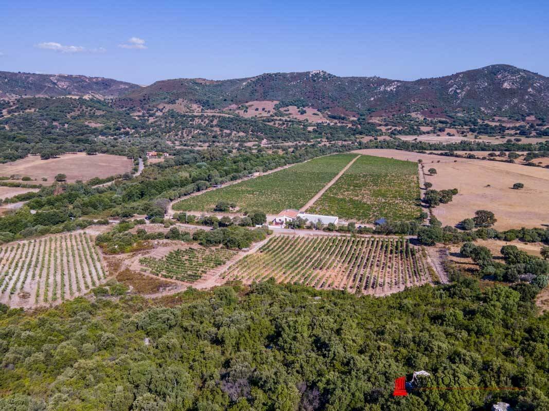 Farm località Azzanido, Loiri Porto San Paolo - photo 3