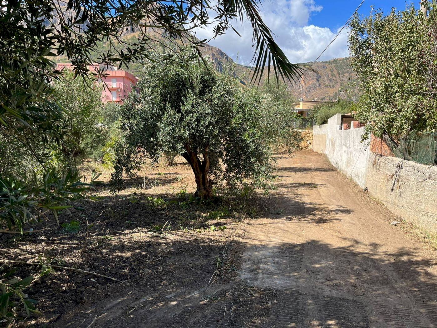 ingresso - Building land via Gemma d'Oro, Castellammare del Golfo - photo 1