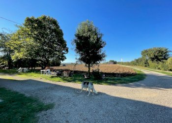 Casa indipendente Via Emilia Ponente, 1950, Castel Bolognese - foto 4