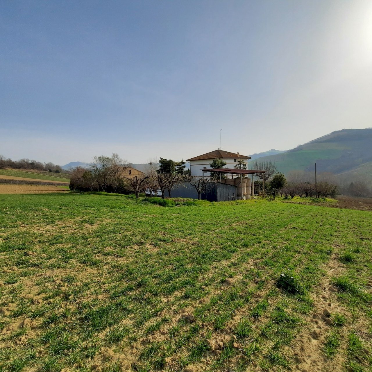 11 RIPATRASONE-CASA INDIPENDENTE CON 12 ETTARI DI - Independent house Ripatransone - photo 2