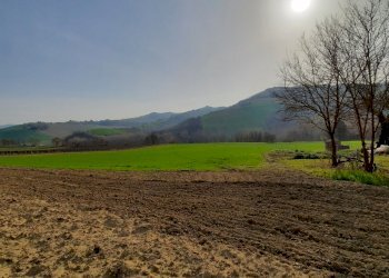 06 RIPATRASONE-CASA INDIPENDENTE CON 12 ETTARI DI - Casa indipendente Ripatransone - foto 4