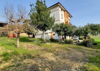 14 RIPATRASONE-CASA INDIPENDENTE CON 12 ETTARI DI - Casa indipendente Ripatransone - foto 5