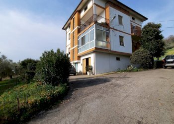 15 RIPATRASONE-CASA INDIPENDENTE CON 12 ETTARI DI - Casa indipendente Ripatransone - foto 7