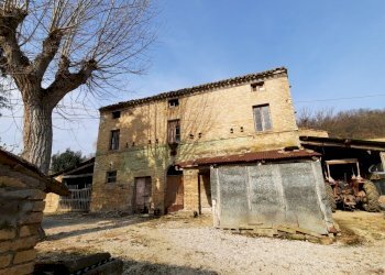 13 RIPATRASONE-CASA INDIPENDENTE CON 12 ETTARI DI - Casa indipendente Ripatransone - foto 8